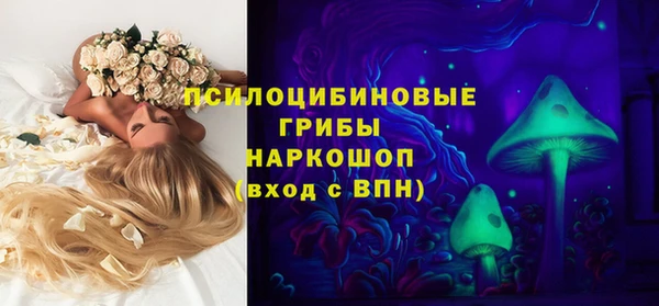 дживик Алексеевка