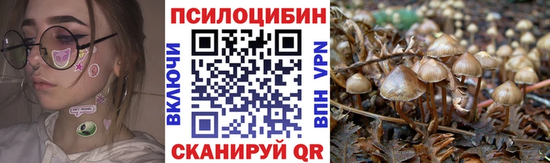 Псилоцибиновые грибы Psilocybe  Бабаево 